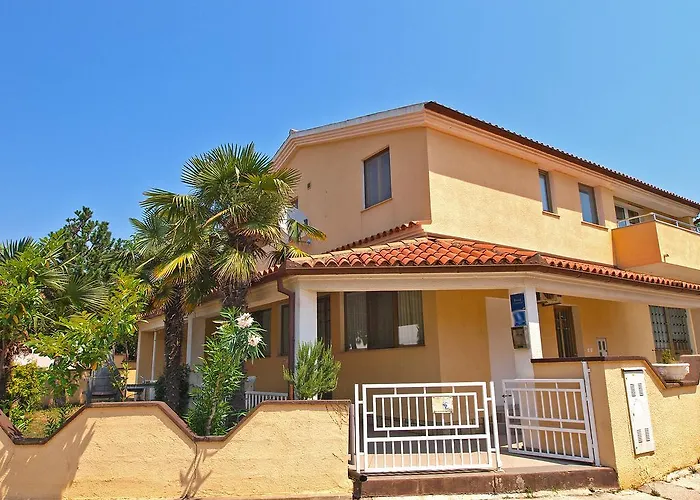 Apartment Rov 894
